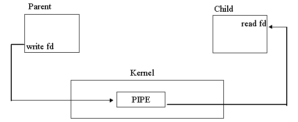 Pipe