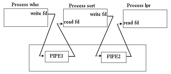 Piping Processes