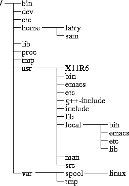 Directory Tree